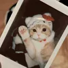 nhtt.wu