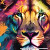 lionsrage27