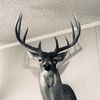 calebdodd15