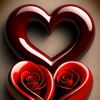 user388776840