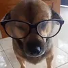 nhwqynh_.pqpi