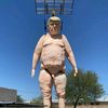 tiolesbico