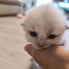 user1908112139345