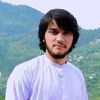 habibulmarsaleen
