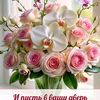 user910985904