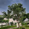 teguhprakoso26