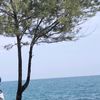 appllepiee_1