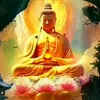 thanh_luu15