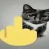 chimpminet