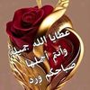 ab.al.h