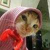 minimeowmi