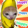 Happy cat