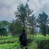 Cepotkepin