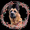 chanelle.gsd