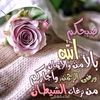 samer8gmail