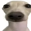 eau_tisse