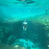 clearwaterseeker