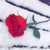 kura_taqana28
