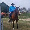 albertvasquez35