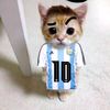 w12messi