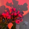 _selav_1