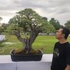 budi_raharjo88