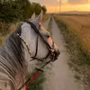 dyar_xoshnaw11