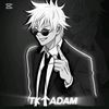 adam_mvp0