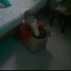 rosaquispe87