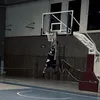 tiseguosemisegui12