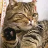 cuteeluluu