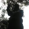 jaimenbarral