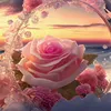 gy_nzp
