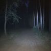 julyscurse