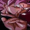 mr.popo_rose