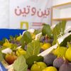 مزارع تين وتين بالقصيم بريده