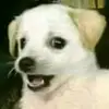 sorenhiro