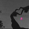just_call_me_sira