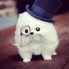 ifsulipz