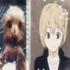yunna_74344