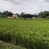 yuliawati821