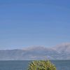 halil_06_19