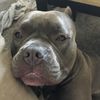 barkavenue131
