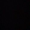 alfi_13_