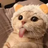 mintztie