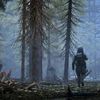 elnur_11020