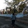 indrayani636