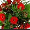 asma.xl6
