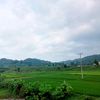 dikabae.1