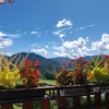 geraldinesaenz30